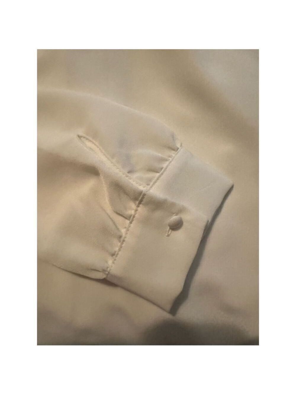 The Limited Blouse - Picture 4 of 4